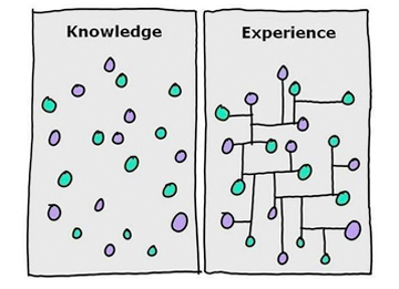 The Secret to Creativity, Intelligence, and Scientific Thinking